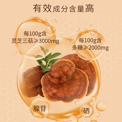
Yisen Garden [Hot Sale in Events] Break-Wall Ganoderma Lucidum Spore Powder for Adults and Middle-aged and Elderly Immunity Enhancement Tonic Health Products Visit 5 Boxes Special Pack *150 Bags (5 Months Quantity)