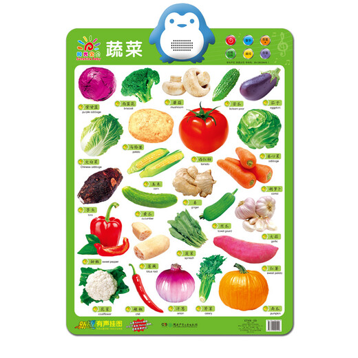 Sunshine Baby pronunciation audio wall chart (selected 10 types, 4 sets, 40 pictures in total)