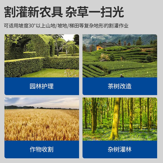 Dongcheng gasoline lawn mower FF02-BG431 four-stroke high-power lawn mower lawn mower FF-CXB-0.7KW four-stroke