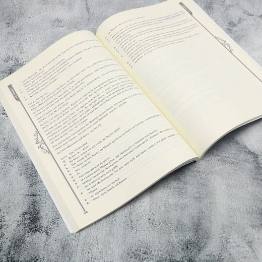 Xinqiujing Intensiv-Deutschkurs Grundschullehrbuch Nachschlagewerk A1-A2