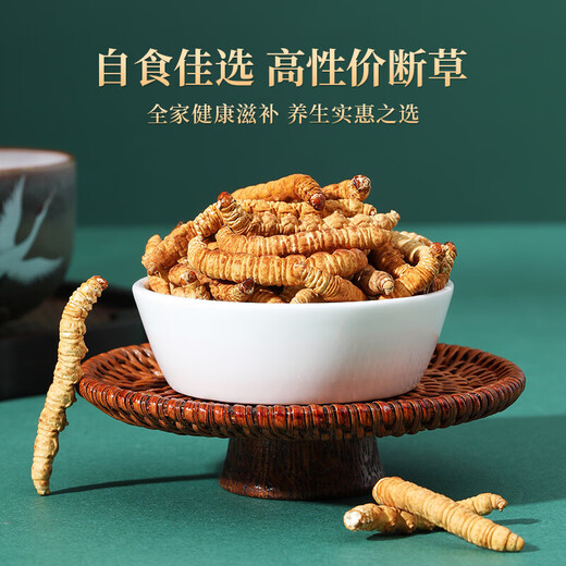 紫蓝花海冬虫夏草 断虫草 精品纯肉节断草 自食高性价比 大号纯肉节20克装【自用实惠】