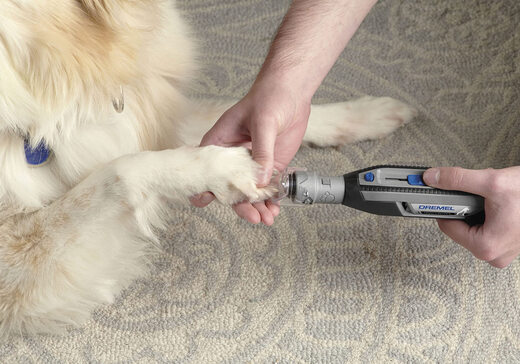 DREMEL DREMEL Pet Electric Nail Grinder Portable Rechargeable Dog Nail Trimmer Tool