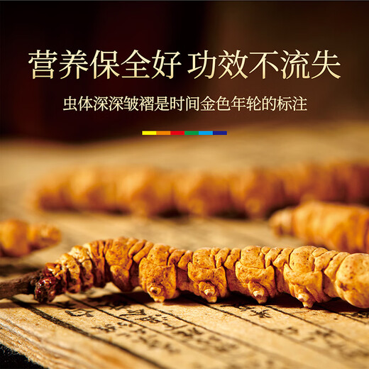 Cordyceps sinensis 3 Wurzeln/G10g ungefähr 30 Wurzeln Cordyceps Festliche Geschenke High-End-Nahrung Ernährung Auswahlgeschenke