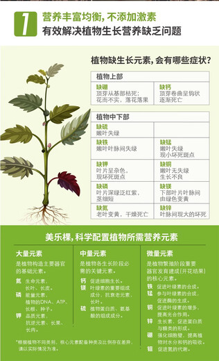 Meileke concentrated nutrient solution 9 types of horticultural flowers succulent rose potted hydroponic liquid universal flower fertilizer