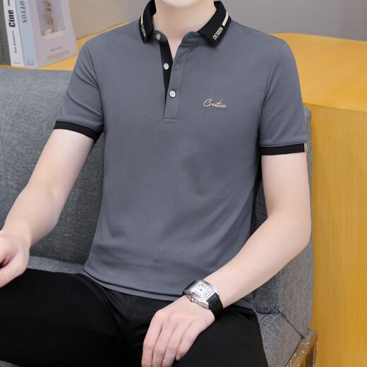 CAIDEN KETCH男装品牌短袖polo衫t恤男士2025夏季新款商务休闲百搭透气上衣服 白色679 【现货速达】 XL （建议126-140斤）