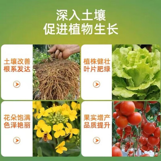 Yuntianhua Phosphate Fertilizer Granules Superphosphate General Flowering Fertilizer Household Fruit Tree Vegetable Green Plant Compound Fertilizer 100 Jin Jin equals 0.5 kg Phosphate fertilizer (high concentration) 5 Jin Jin equals 0.5 kg