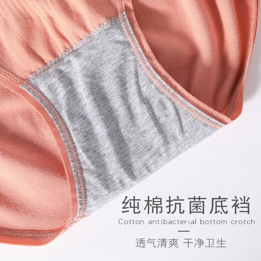 Coton Pleasant Women's Underwear's Women's Pure Cotton Bottom Gotch Antibactérien Girls High Wistre Modal Breathable et Briefs sans trace Couvrant les fesses et le ventre 4 A Abricot + Green + Gray + Caramel 4 bandes régulières (90-155Jin [Jin est égal à 0,5 kg]))