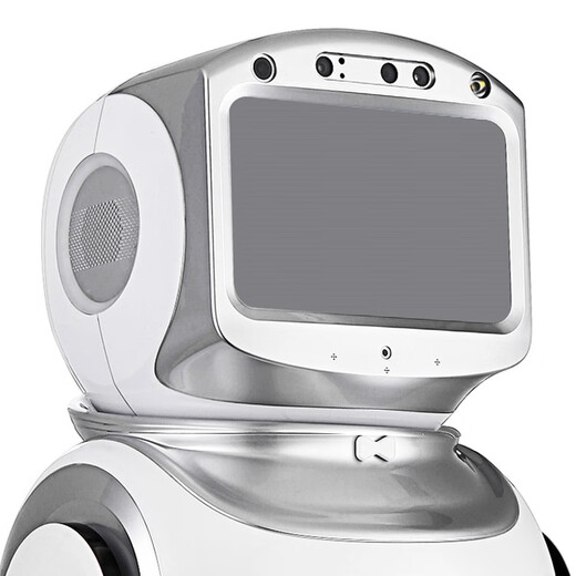 Starry Sky Dabai 2025 AI Custom Humanoide Robot Humanoid Chat de inteligencia artificial Children's Kindergarten Daling Xiaobao Comercial Bienvenido Explicación Hall de exposiciones Museo de alta tecnología Escuela primaria Voz blanca