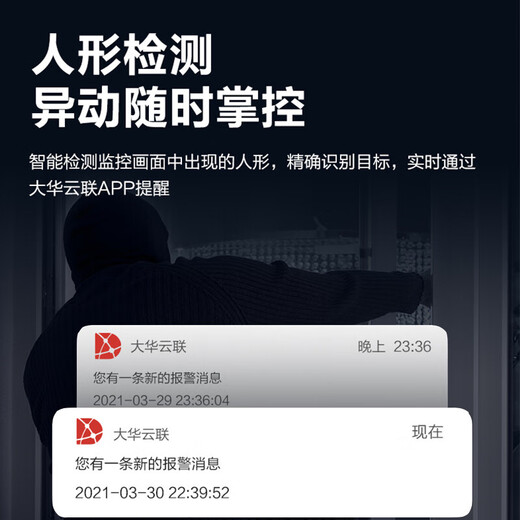 dahua大华股份4G球机摄像头 200万低功耗人脸检测抓拍监控摄像头 插SIM流量卡远程云台摄像机 DH-SD6223-DGQ-i