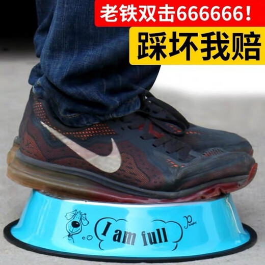 OIMG Stainless Steel Dog Bowl Golden Retriever Teddy Dog Bowl Cat Dog Food Bowl Labrador Anti-Slip Drinking Bowl Dog Food Bowl Green (Random Pattern)