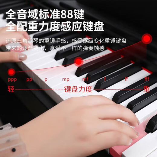 金色年代电钢琴88键重锤成人儿童电子钢琴家用练习初学者幼师专业数码钢琴 88键蓝牙力度木纹棕（配踏板） 标配