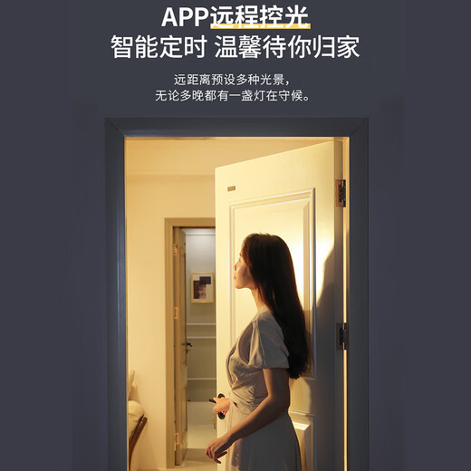 雷士（NVC） led智能吸顶灯客厅灯卧室灯风扇灯套餐轻奢风全屋灯具灯饰 110W 30㎡内适用 5010lm 智控大灯