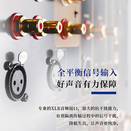 天逸音响AD-3PRO+纯甲类功放全平衡HIFI音质DSD解码大功率家庭ktv音响必备 AD-3PRO+合并功放 官方标配