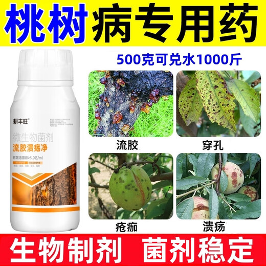 Gengfengwang peach tree gum disease special medicine peach tree gum disease one spray to clear peach tree scab disease perforation canker peach tree gum disease medicine 100ml (can be mixed with 200 Jin Jin equal to 0.5 kg of water)