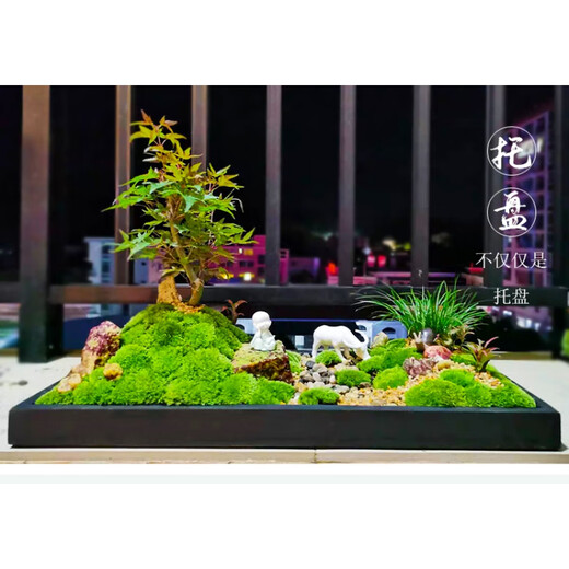 LISM长方形托盘花盆底座沙盘造景台尺寸可定制防水防漏接水盘多色 长方 无轮 内径9227cm