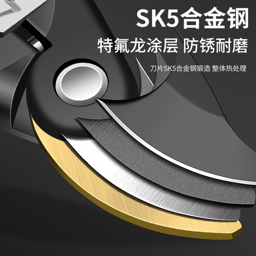 Baolian pruning shears, gardening scissors for cutting branches, special scissors for garden pruning, fruit tree pruning, flower pruning scissors