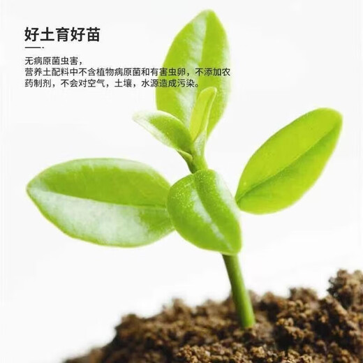 Universal nutrient soil flower soil potted nutrient soil universal vegetable and flower soil large bag planting soil organic fertilizer 1Jin Jin equals 0.5 kg nutrient soil