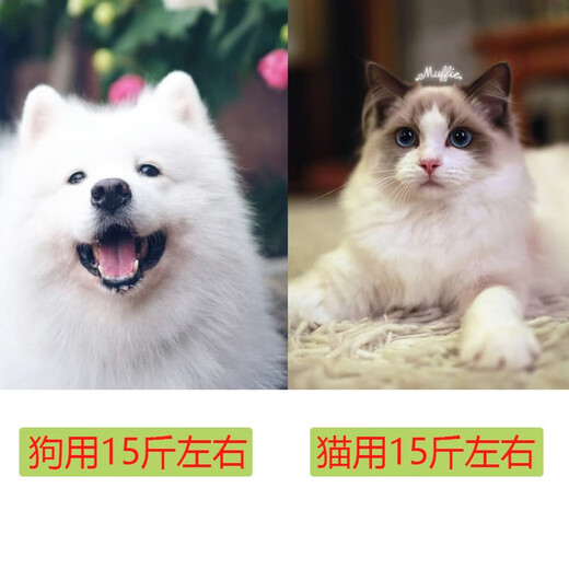 Moorpet Trolley Cat Bag, Portable Backpack for Going Out, Breathable and Foldable Pet Cat Bag, Dog Bag, Large Haze Purple - Trolley Style (for cats and dogs, 15 Jin is equal to 0.5 kg) 36cm*28cm*41cm