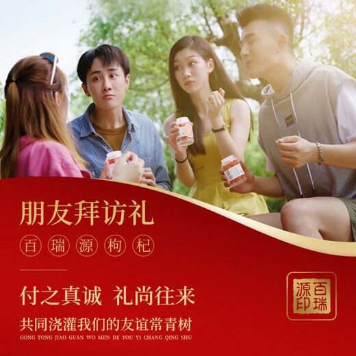 Bairuiyuan Wolfberry Ningxia Wolfberry Special Grad June Red Wolfberry Geschenkbox 300g High-End-Geschenkgesundheit Lebensmittelgeschenk