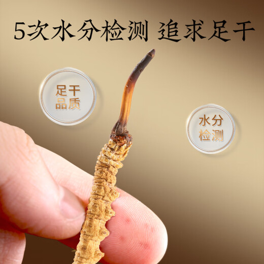 同仁堂品牌冬虫夏草约5根/g2g约10根高端营养营养滋补品长辈北京同仁堂