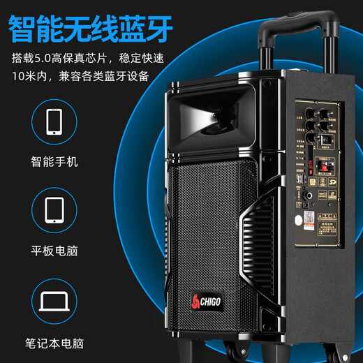 CHIGO high-volume square dance audio high-power mobile portable trolley speaker outdoor stall live broadcast wireless Bluetooth home karaoke singing and dancing speaker standard + wireless microphone x2 official standard