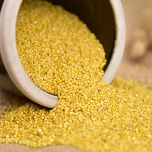 Volksschhaanxi Nordreis Fettöl Millet 880 g Shaanxi gelber Hirse Vollkornbrei -Reis