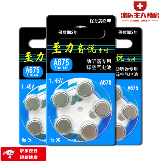 Xiwanbo Hörgeräte Special A13A10 Original A312A675 Zink zu Liyinyue Taste Electronics 1.45 V bis Li A10 [1 Tafel 10 Teile]*2