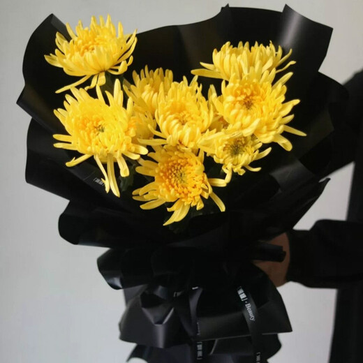 Yushang Ching Ming Festival chrysanthemum bouquet for grave sweeping and memorial service, flower express delivery in the same city, Beijing, Shanghai and Guangzhou distribution store, style 12 (11 mixed chrysanthemums and 2 lilies) E