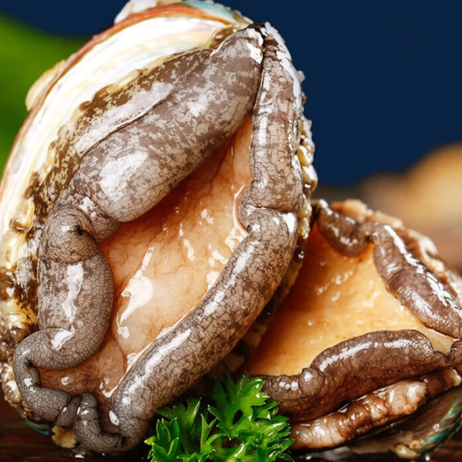 Ding Xiaoyan Seafood Feast Gift Box Big Geschenkpaket Geschenk für Meeresfrüchte Geschenkbox Wasserbänker Geschenkbox Meeresfrüchte Fest 1098 Typ 3800g