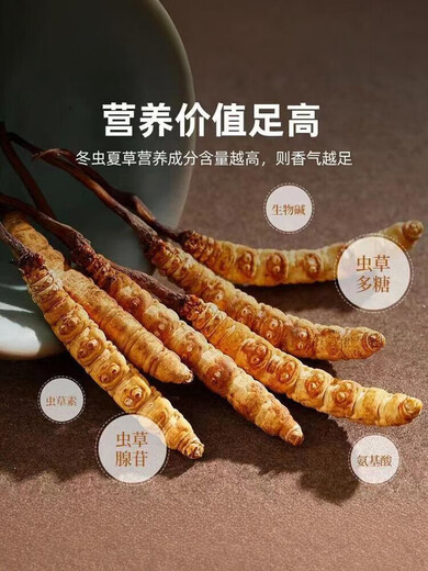 冬虫夏草 高海拔正品虫草 传统滋补品 送礼佳品 3根/克 共60根