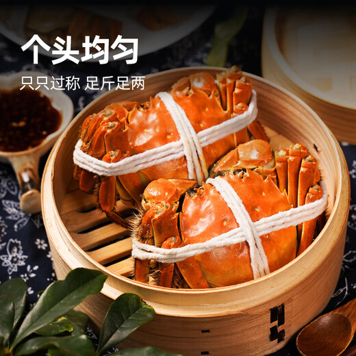 Live crabs, fresh hairy crabs from Xianjing, 3.5 taels of whole female crabs, 4 pairs of 8 pieces, full weight without rope, crabs, river crabs, fresh gift box