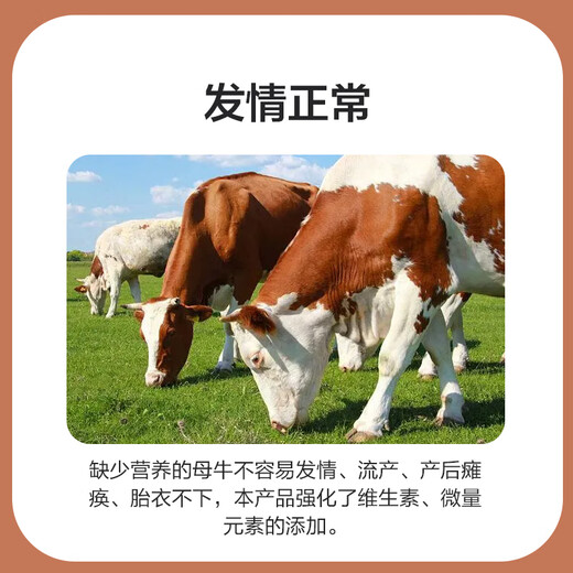 East China Zhengda 4% cow and ewe premix anti-paralysis special cow and sheep breeding feed to increase milk production Special ewe feed 10 get 1 free (11 bags issued)
