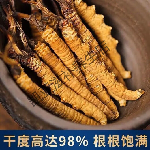 Peking Tongrentang Authentische Cordyceps 10 Geschenkboxen im Jahr 2024 Erster tibetaner Cordyceps Cordyceps Sinensis 0,5 Gramm Cordyceps König 20 [10 Gramm insgesamt] Geschenk in Dosen eingeschlägt