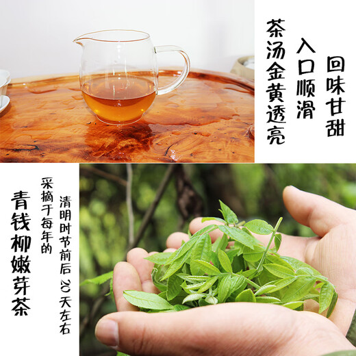 Green Money Willow Tea Green Money Willow Wild Ancient Tree Qing Jin Money Willow Tend Sprouts Leaf The Hunan Golden Leaf Icilium Health Tea W Green Money Willow Tend Sprouts 250g (pas pour les tasses à thé)