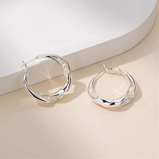 Qlady high-end light luxury earrings for women 2025 new silver needle earrings temperament niche earrings and earrings female birthday gifts