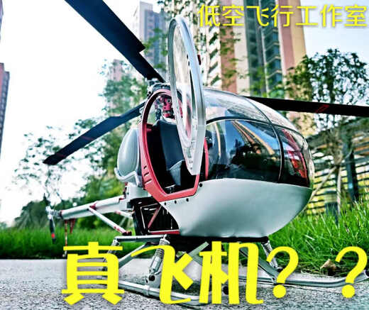 BURJUMAN航模飞机成人施瓦泽300C休斯全金属高仿真遥控直升机静态飞机 飞机全套到手飞