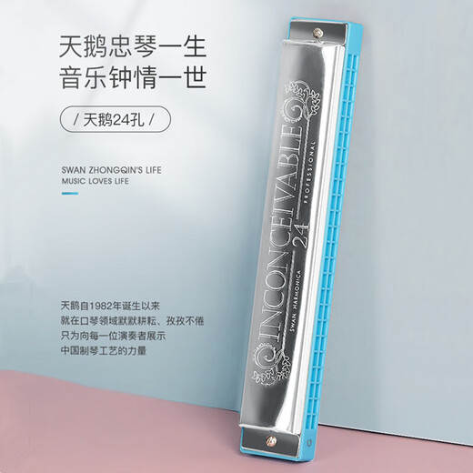 天鹅（SWAN）单音口琴24孔c调儿童小学生初学者入门C大调带简谱音符口风琴 【带音符标记】单音24孔C银色