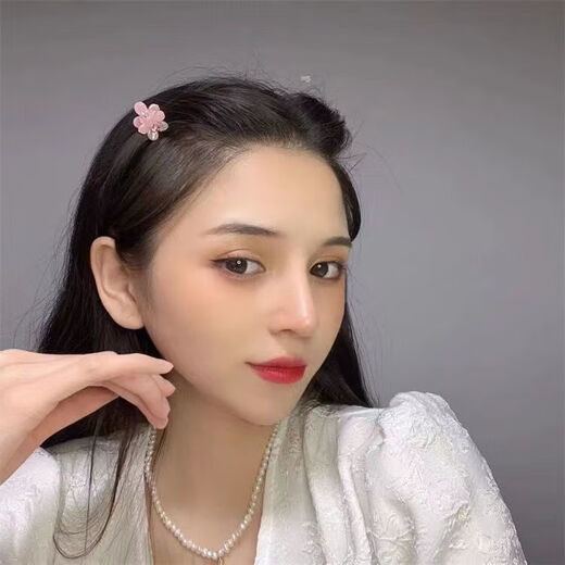 Penning small flower grabber ins transparent pink small flower hair grab mini grabber top clip broken hair clip bangs clip pink (10 pieces)