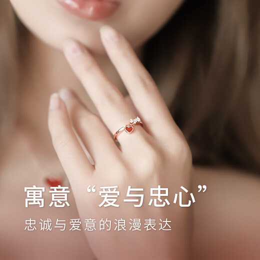 AGATHA/Aijiasha French open silver ring for women, birthday gift for girlfriend and best friend, high-end adjustable ring