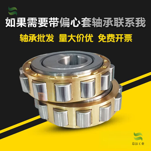 Reducer eccentric bearing RN307RN205RN206 RN309 204 312 219 222 Eccentric sleeve 6224