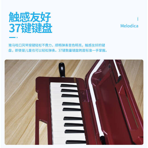 雅马哈（YAMAHA）口风琴P-37D教学娱乐37键儿童学生音乐玩具初学入门启蒙乐器 P-37D