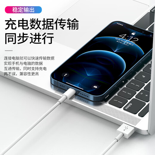 雄晟适用苹果14数据线iphone11快充线13pro手机12速充USB正品8plus单线7p加长2米ipad充电线 一条装【正品USB苹果快充数据线】 0.25米