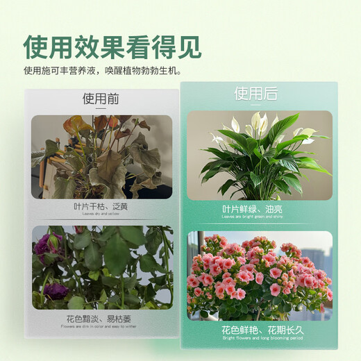 Shi Kefeng nutrient solution plant universal hydroponic flower fertilizer dead leaves yellow leaves rotten roots potted concentrated flowers and green plants balcony
