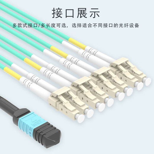 Thai Union TIMON MPO fiber jumper 10 Gigabit multimode 8-core 12-core female B polarity 40G/100G/400G optical module MTP fiber jump bundle fiber cable MPO-MPO multimode 8-core 40G OM3 5 meters