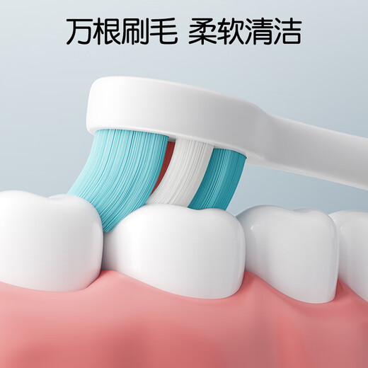 Dinosaur Doctor (PROTEFIX) Children's Toothbrush 1-3-6 Years Old Baby Toothbrush Toothpaste Soft Hair Baby Toothbrush 1-2 Years Old Baby Toothbrush Cartoon Car Rabbit