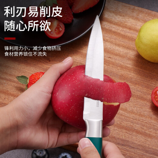 BAYCO fruit knife stainless steel peeling knife household watermelon knife portable melon and fruit knife peeling knife XY90105