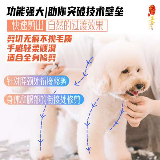 Black Bird King 3D curved natural shearing pet grooming scissors for professional beauticians to trim and shear Bay natural pet stores 7.5 inches 3D curved natural three-dimensional traceless 70% hair volume