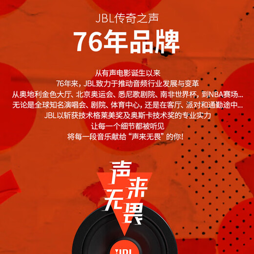 JBL 家庭ktv音响套装点歌机一体机卡拉ok户外k歌唱歌设备广场舞音响 21吋高清屏+15吋低音+1000G+双麦