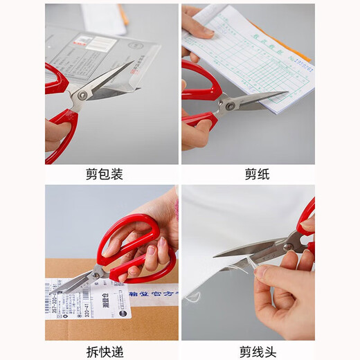 Zhang Xiaoquan scissors household small stainless steel round head scissors office large paper cutting life scissors kitchen scissors extra small 125mm (single handle)