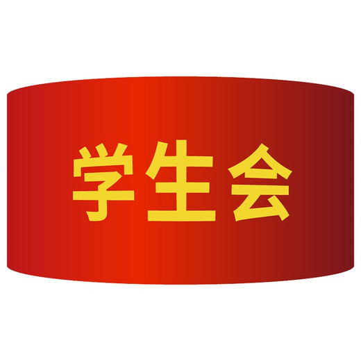 赫思迪格 红袖章 袖标 志愿者巡逻监督管理袖标 配10个别针 监护人（10个）JG-1476
